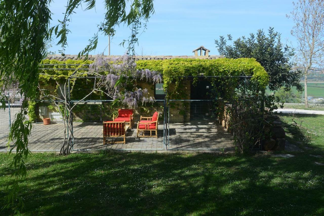 Casa Nenella Villa Corridonia Exteriör bild